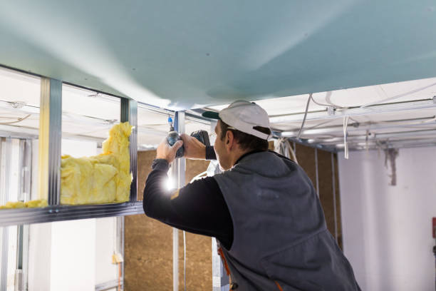 Best Geographic-Specific Insulation Services in Macclenny, FL