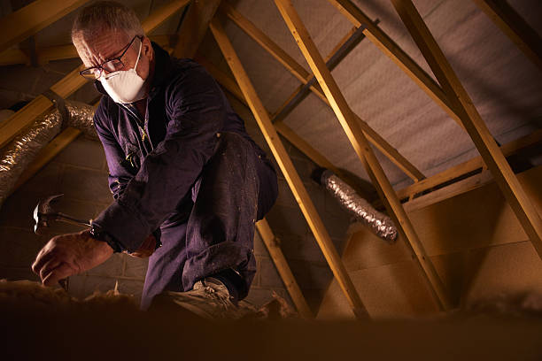 Types of Insulation We Offer in Macclenny, FL